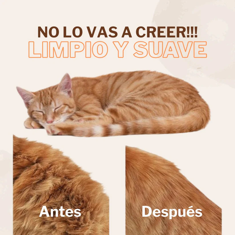 Cepillo Para Mascotas 🐾 3 En 1 🐾 | Pet Brush®